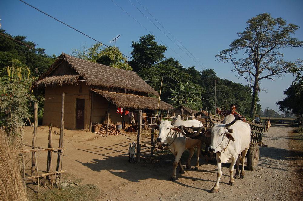 Machan Country Villa Kumarwarti Exteriér fotografie