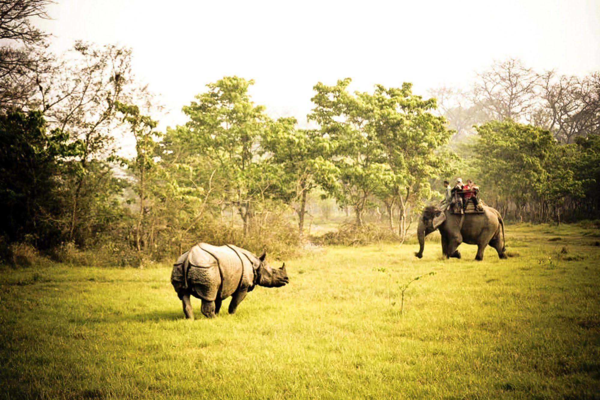 Machan Country Villa Kumarwarti Exteriér fotografie